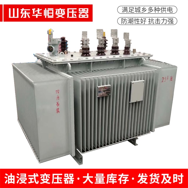 S13-10000/35新和新和新和电力变压器厂家