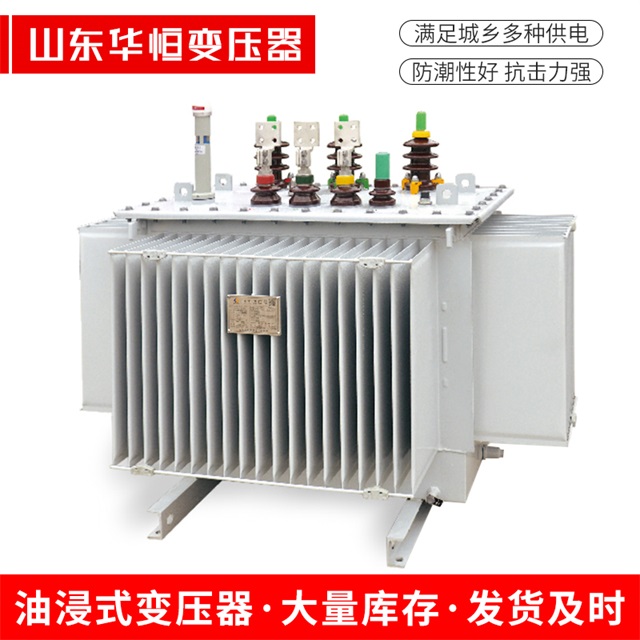 S13-10000/35新和新和新和电力变压器